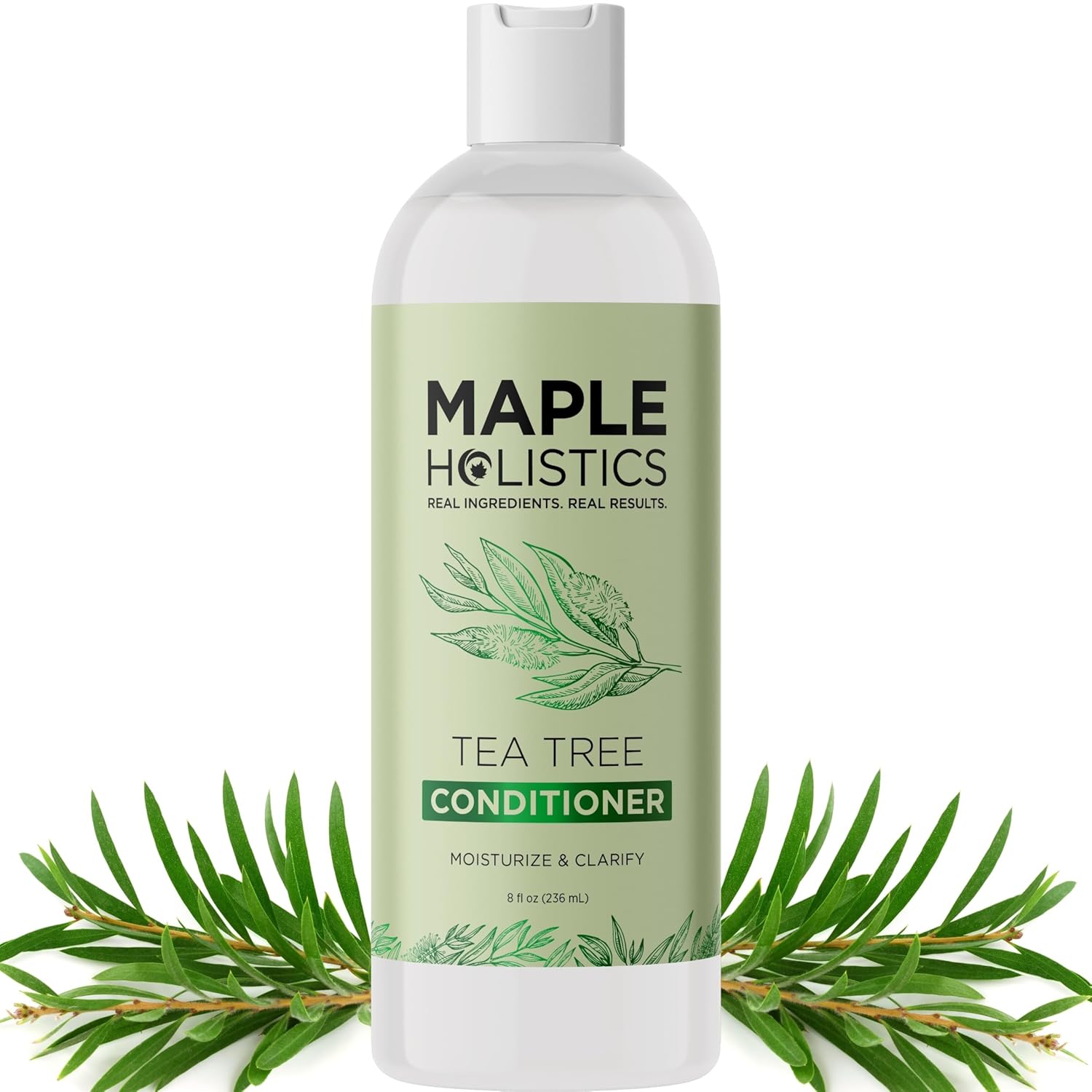 maple holistics conditioner for oily hair | Beauty Birdie